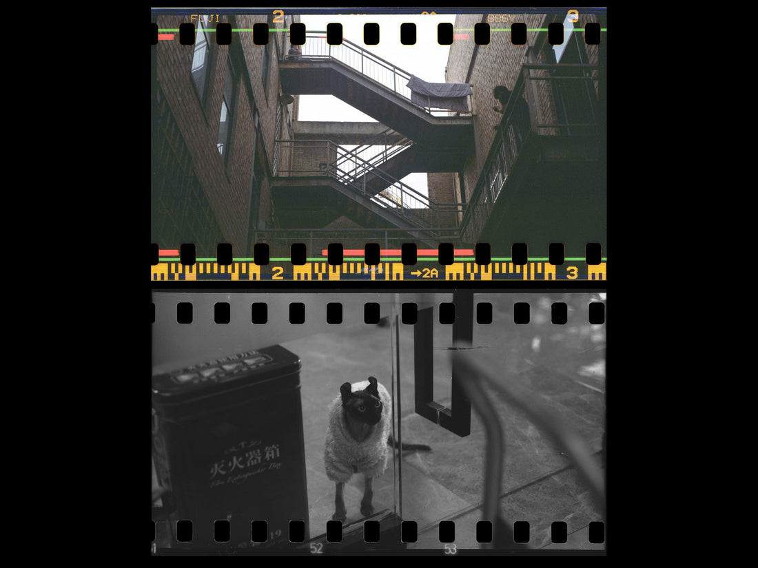 NONS Film Back (upcoming product)