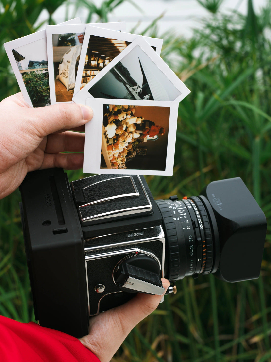 by 今天要下毛毛雨