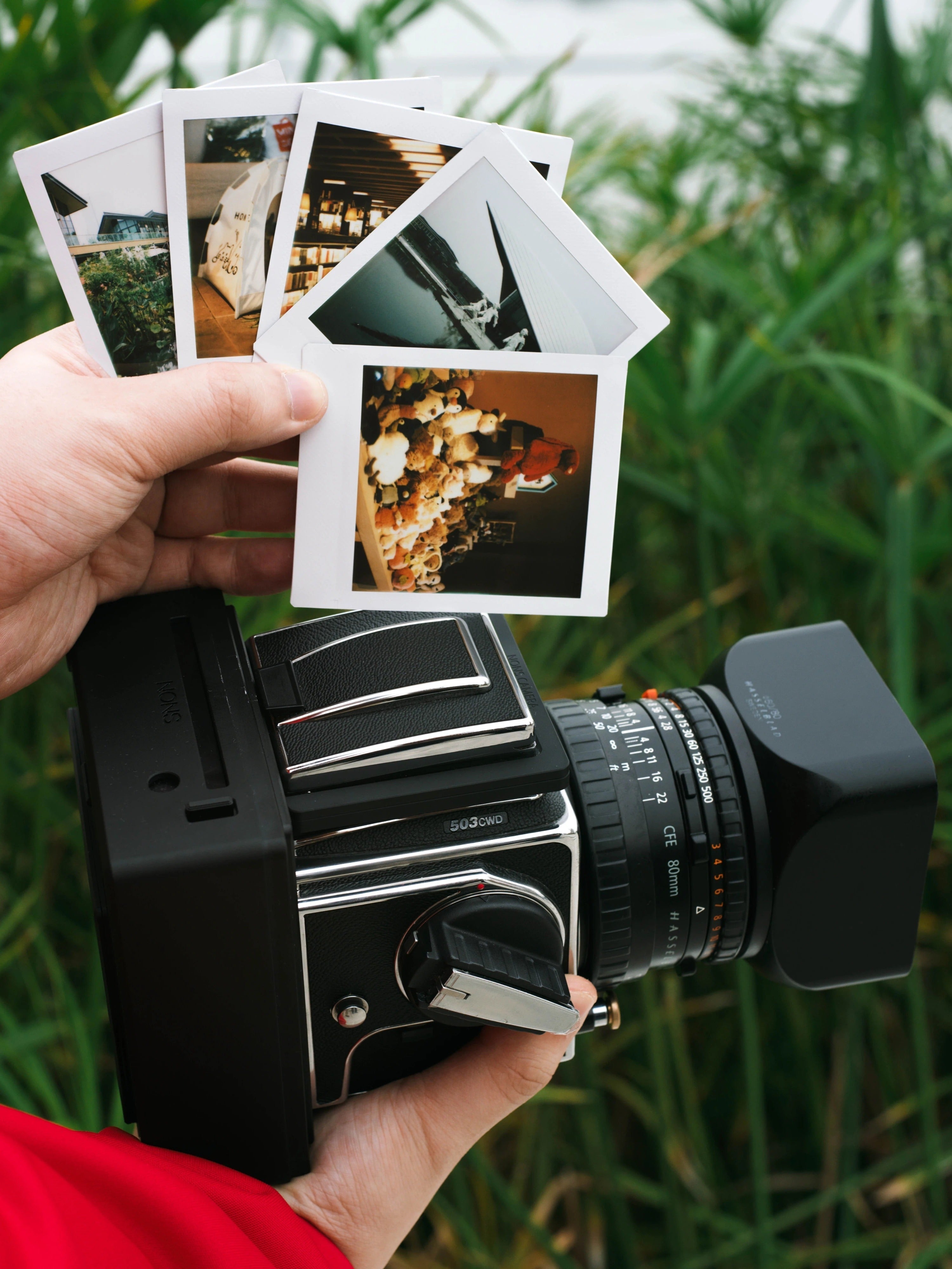 by 今天要下毛毛雨