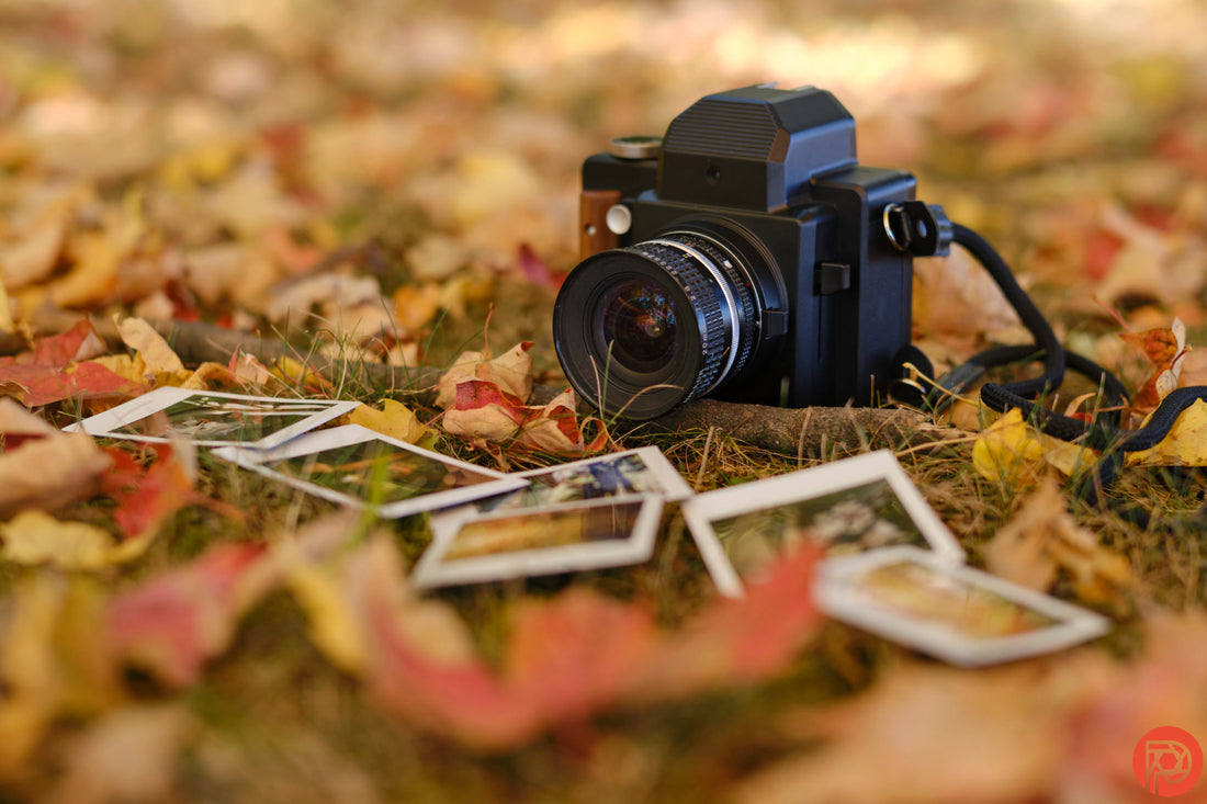 A FILM SLR MADE INSANELY EASY? NONS SL660 REVIEW