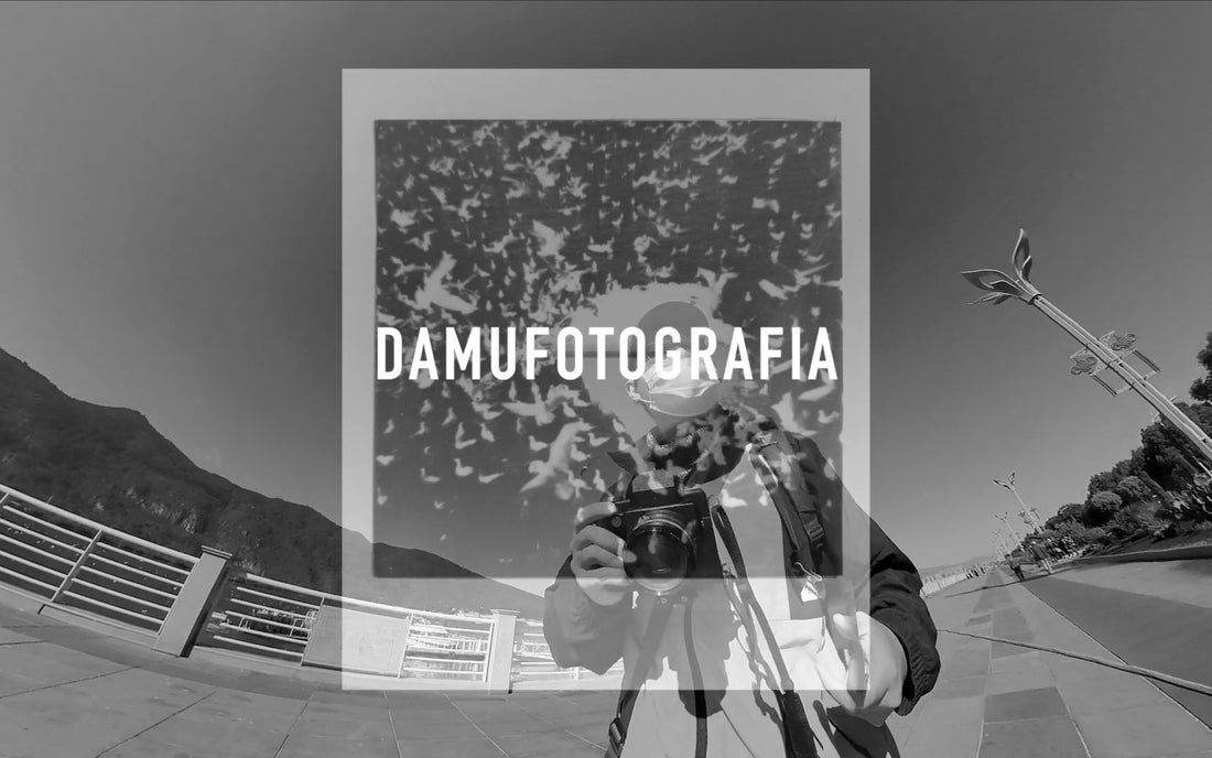 候·鸟｜拍立得作品创作VLOG｜NONS SL660｜FUJIFILM Instax Square, by DamuFotografia