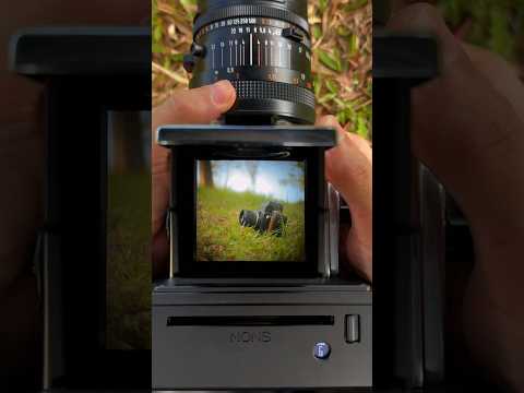 NONS Instant Back - H1P – NONS CAMERA